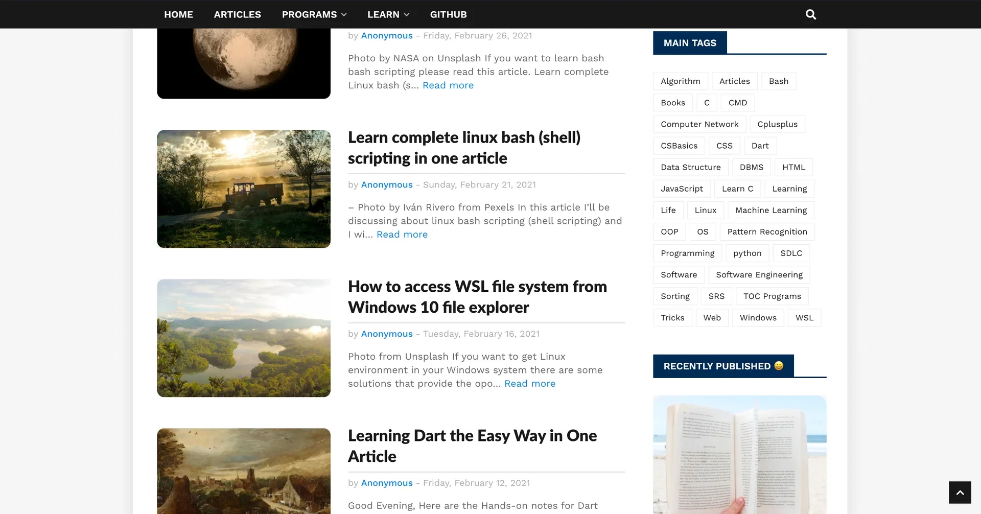 The 2017 villageprogrammer.blogspot.com design
